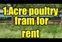 Legality of Poultry Farm Land in Pantai Labu Questioned as Sub-District Head Remains Silent